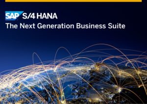 global network SAP S/4HANA